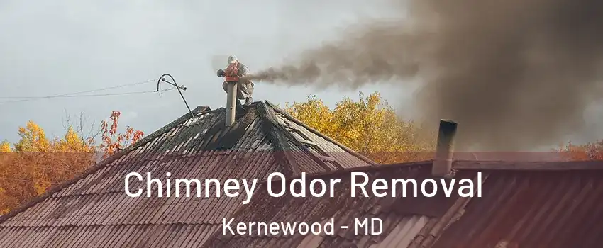 Chimney Odor Removal Kernewood - MD