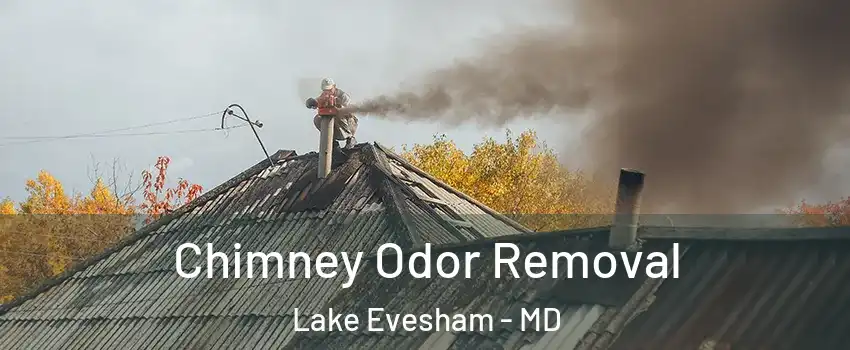 Chimney Odor Removal Lake Evesham - MD