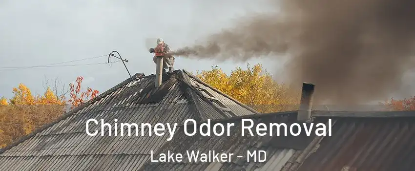 Chimney Odor Removal Lake Walker - MD