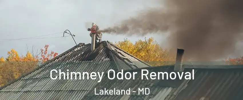 Chimney Odor Removal Lakeland - MD