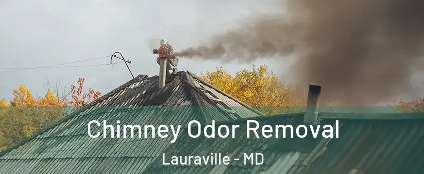 Chimney Odor Removal Lauraville - MD
