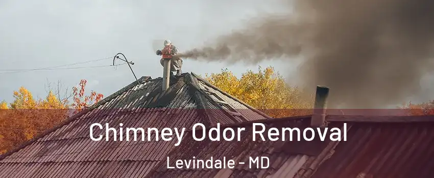Chimney Odor Removal Levindale - MD
