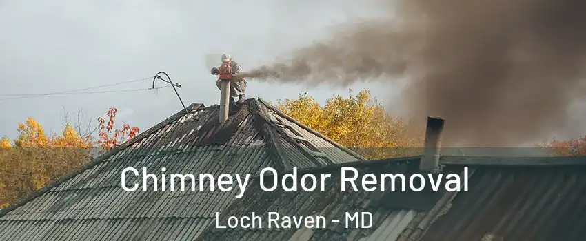 Chimney Odor Removal Loch Raven - MD