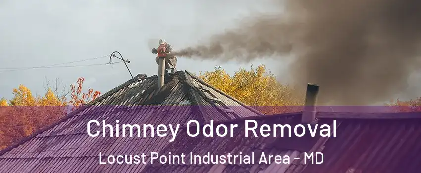 Chimney Odor Removal Locust Point Industrial Area - MD