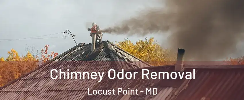 Chimney Odor Removal Locust Point - MD
