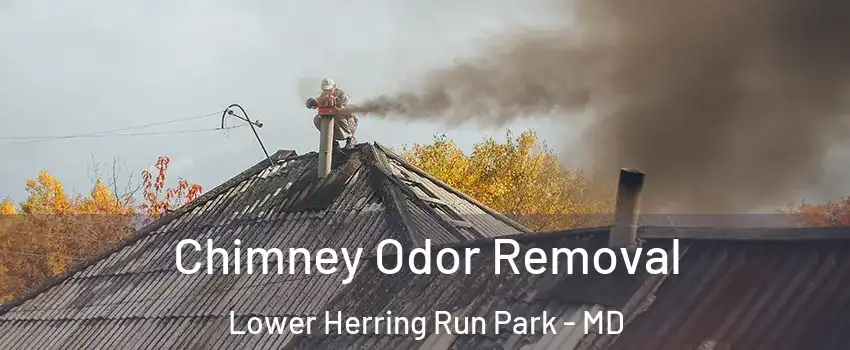 Chimney Odor Removal Lower Herring Run Park - MD