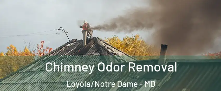 Chimney Odor Removal Loyola/Notre Dame - MD