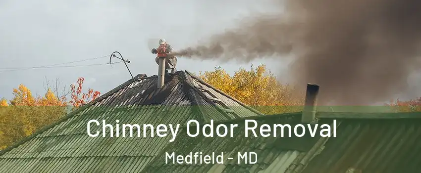 Chimney Odor Removal Medfield - MD