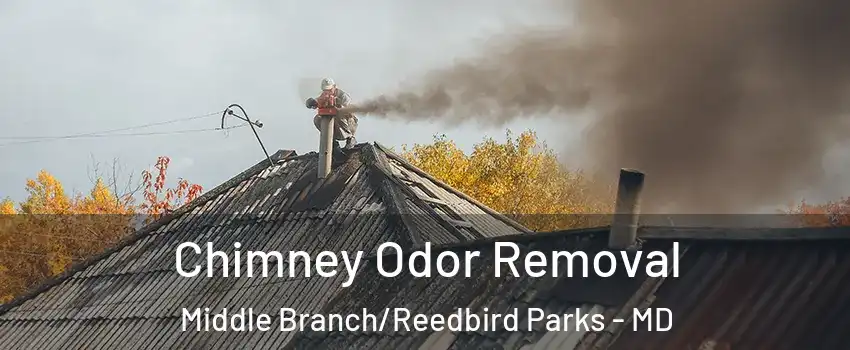 Chimney Odor Removal Middle Branch/Reedbird Parks - MD
