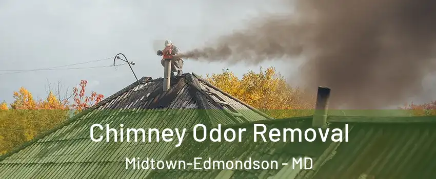 Chimney Odor Removal Midtown-Edmondson - MD