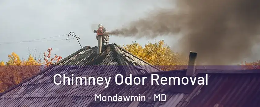 Chimney Odor Removal Mondawmin - MD
