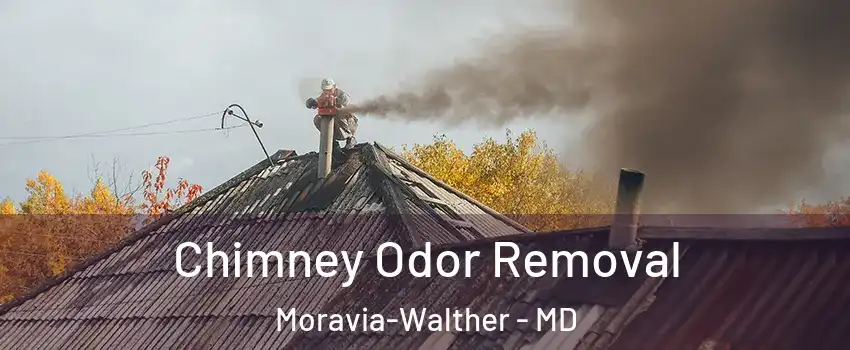 Chimney Odor Removal Moravia-Walther - MD
