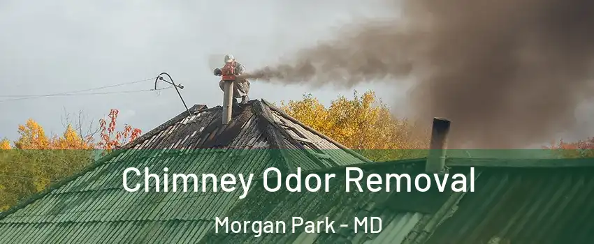 Chimney Odor Removal Morgan Park - MD