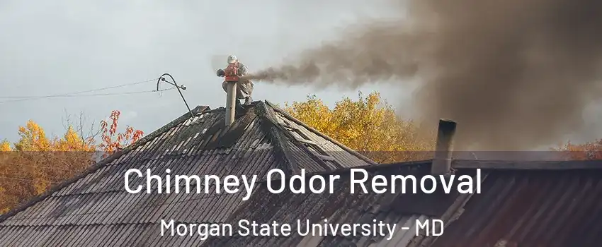 Chimney Odor Removal Morgan State University - MD