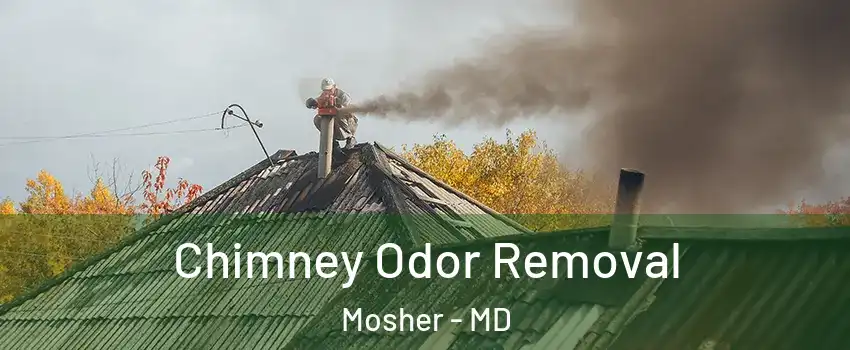 Chimney Odor Removal Mosher - MD