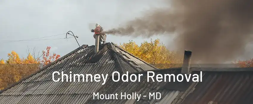 Chimney Odor Removal Mount Holly - MD