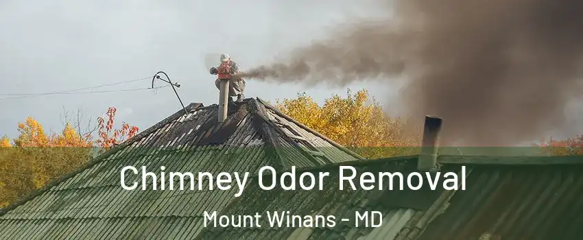Chimney Odor Removal Mount Winans - MD