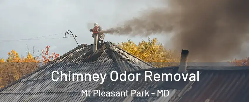 Chimney Odor Removal Mt Pleasant Park - MD