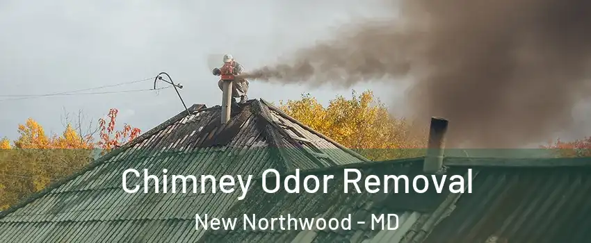 Chimney Odor Removal New Northwood - MD