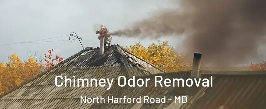 Chimney Odor Removal North Harford Road - MD