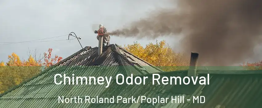 Chimney Odor Removal North Roland Park/Poplar Hill - MD