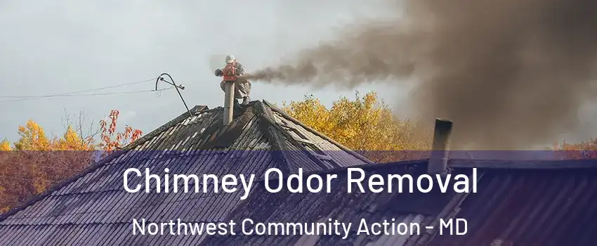 Chimney Odor Removal Northwest Community Action - MD