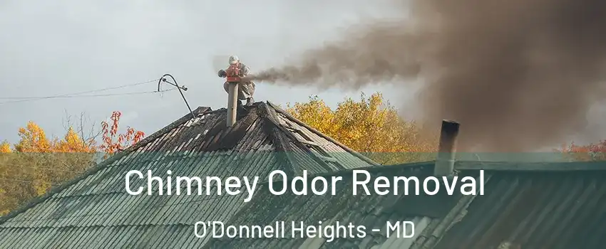 Chimney Odor Removal O'Donnell Heights - MD