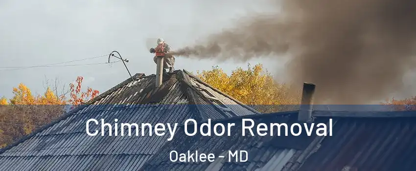 Chimney Odor Removal Oaklee - MD