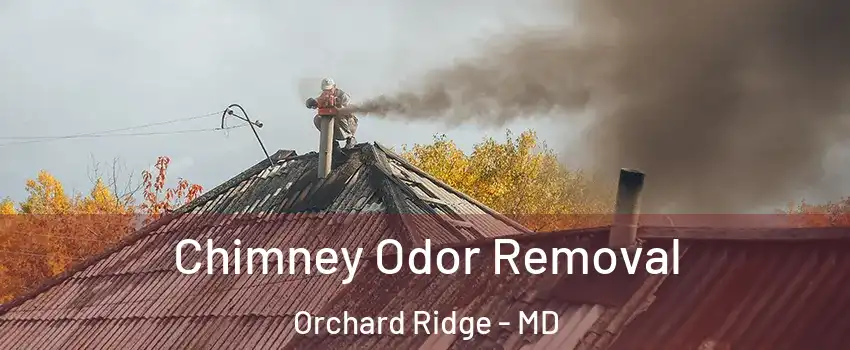 Chimney Odor Removal Orchard Ridge - MD