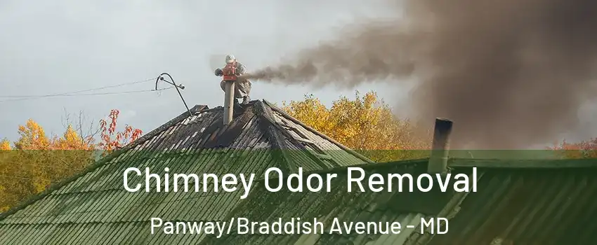 Chimney Odor Removal Panway/Braddish Avenue - MD