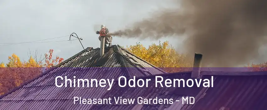 Chimney Odor Removal Pleasant View Gardens - MD