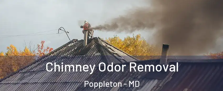 Chimney Odor Removal Poppleton - MD