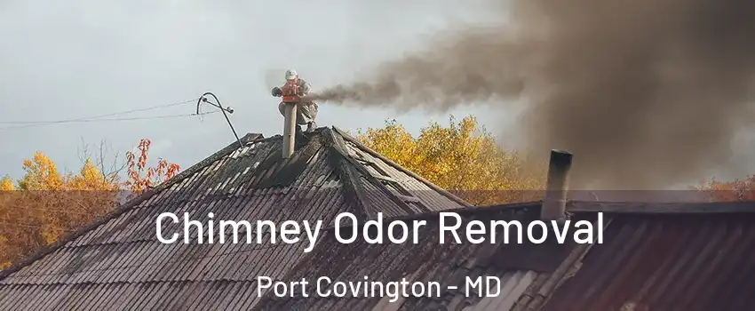 Chimney Odor Removal Port Covington - MD