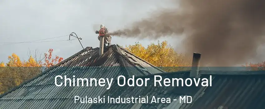 Chimney Odor Removal Pulaski Industrial Area - MD