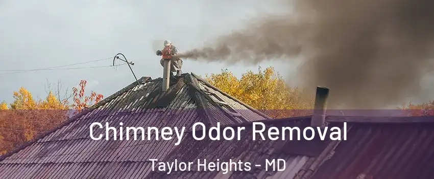 Chimney Odor Removal Taylor Heights - MD