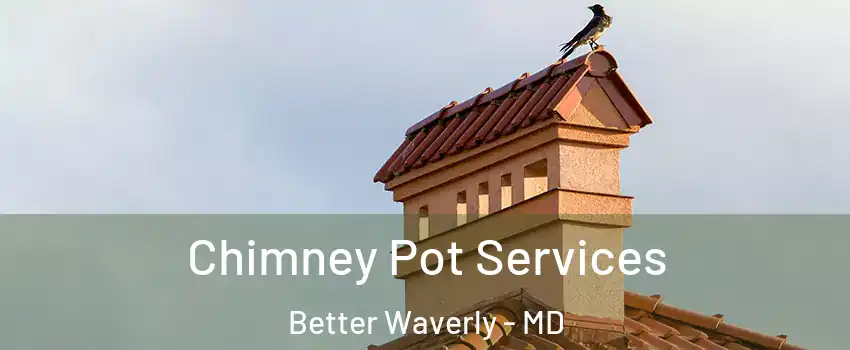 Chimney Pot Services Better Waverly - MD