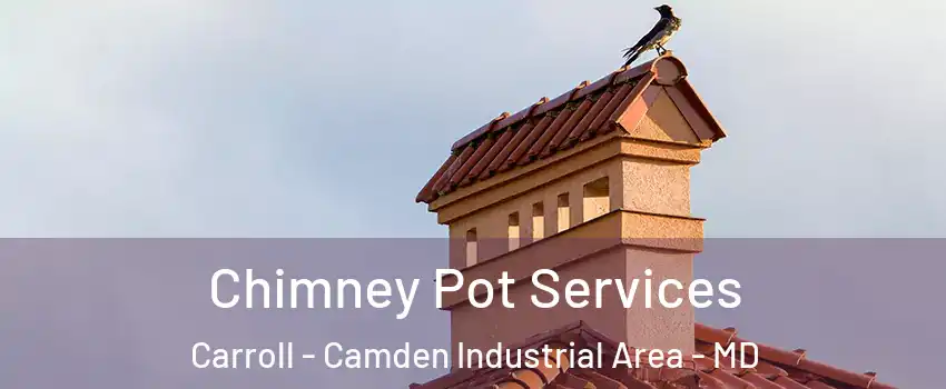 Chimney Pot Services Carroll - Camden Industrial Area - MD