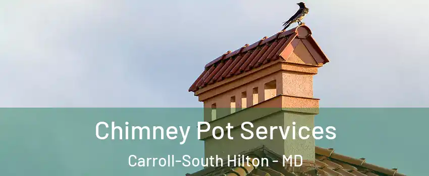Chimney Pot Services Carroll-South Hilton - MD