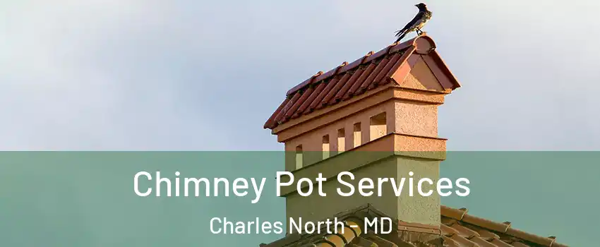 Chimney Pot Services Charles North - MD