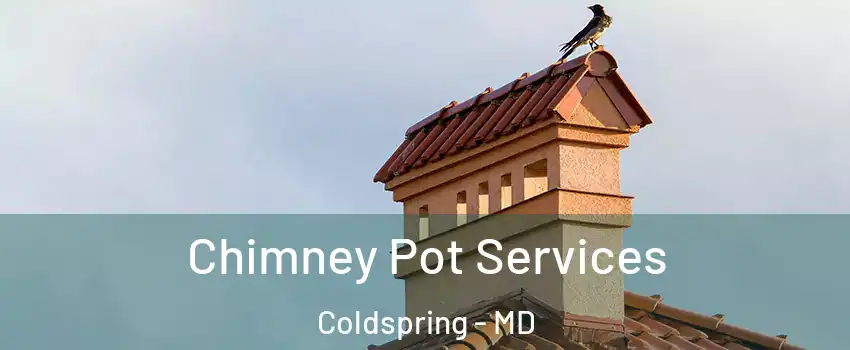 Chimney Pot Services Coldspring - MD