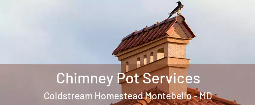 Chimney Pot Services Coldstream Homestead Montebello - MD