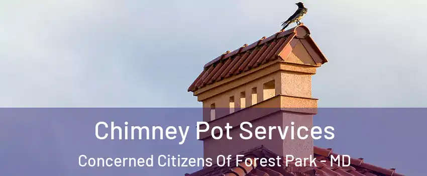 Chimney Pot Services Concerned Citizens Of Forest Park - MD