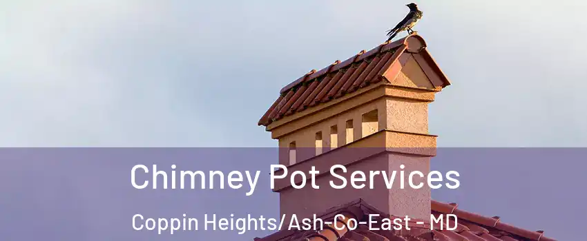 Chimney Pot Services Coppin Heights/Ash-Co-East - MD