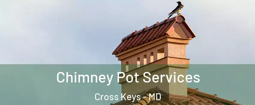 Chimney Pot Services Cross Keys - MD