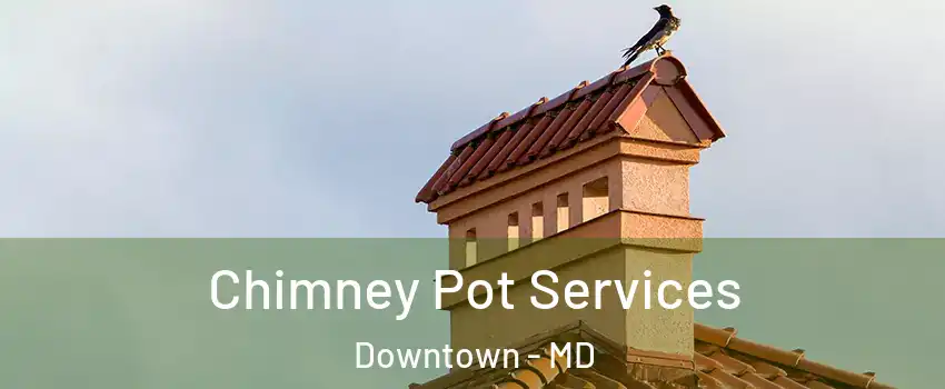 Chimney Pot Services Downtown - MD