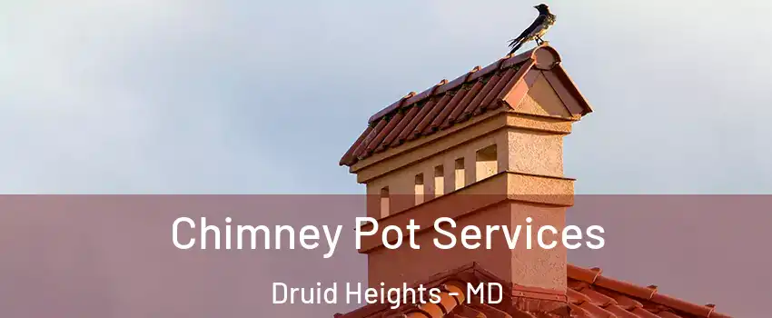 Chimney Pot Services Druid Heights - MD