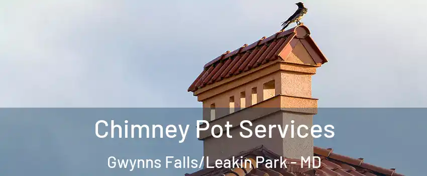Chimney Pot Services Gwynns Falls/Leakin Park - MD