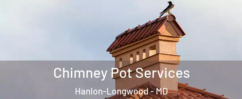 Chimney Pot Services Hanlon-Longwood - MD