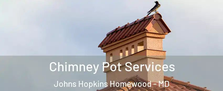 Chimney Pot Services Johns Hopkins Homewood - MD