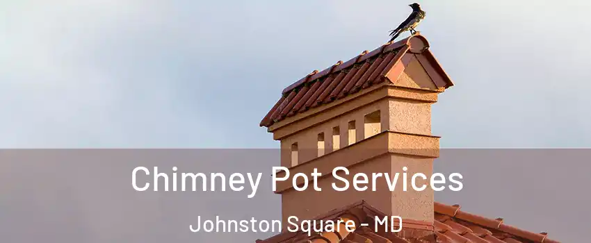 Chimney Pot Services Johnston Square - MD